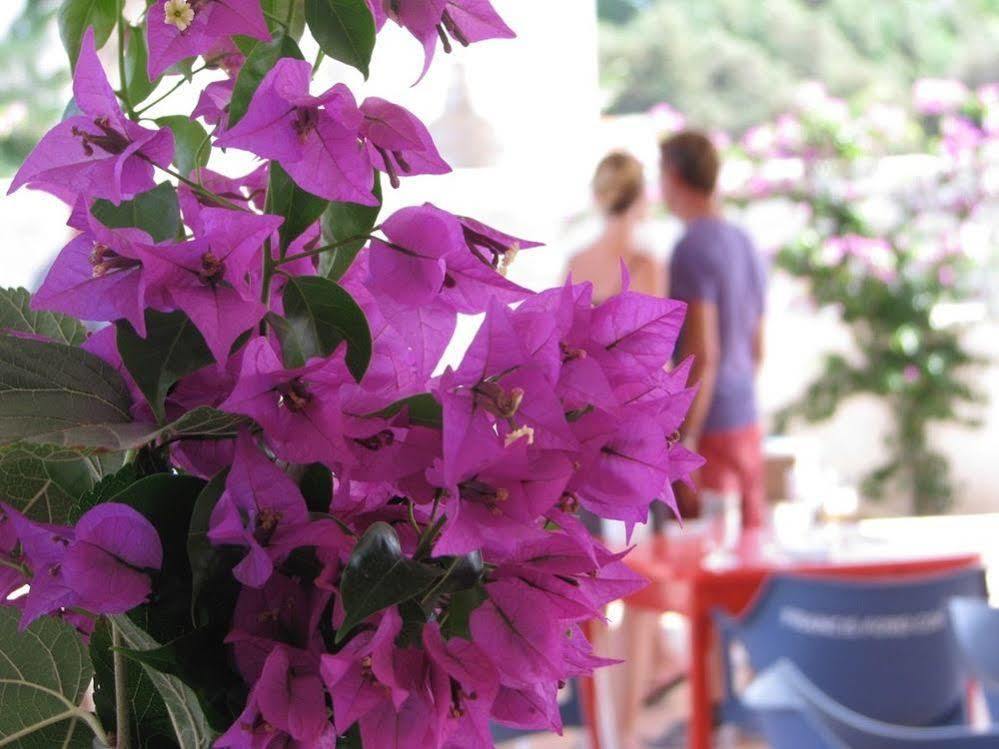 Cosmos Grand Hostal Sant Francesc de s'Estany Eksteriør billede